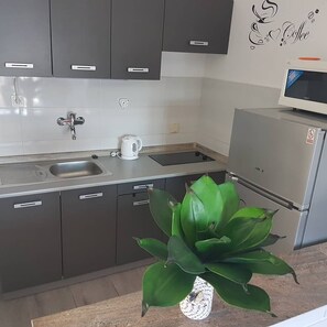 Apartment (A2) | Private kitchen | Fridge, microwave, stovetop, electric kettle - Apartments Adriatic (Rogoznica)