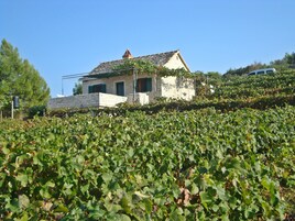 Diseño del edificio