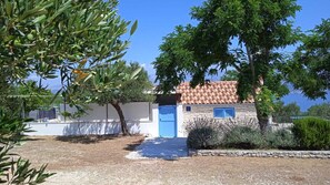 تصميم المبنى