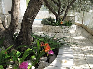 Courtyard - Rooms Falcon (Gradac)