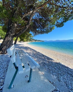 A bench under a tree by a pebble beach with a clear view of the sea. - Rooms Falcon (Gradac)