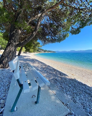 A bench under a tree by a pebble beach with a clear view of the sea.