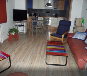 TV, DVD player, books - Vacation apartments Schrappmühle FeWo 2 (Aerzen)