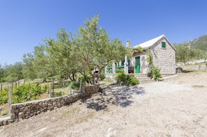 Building design - House Ivan (Bol)