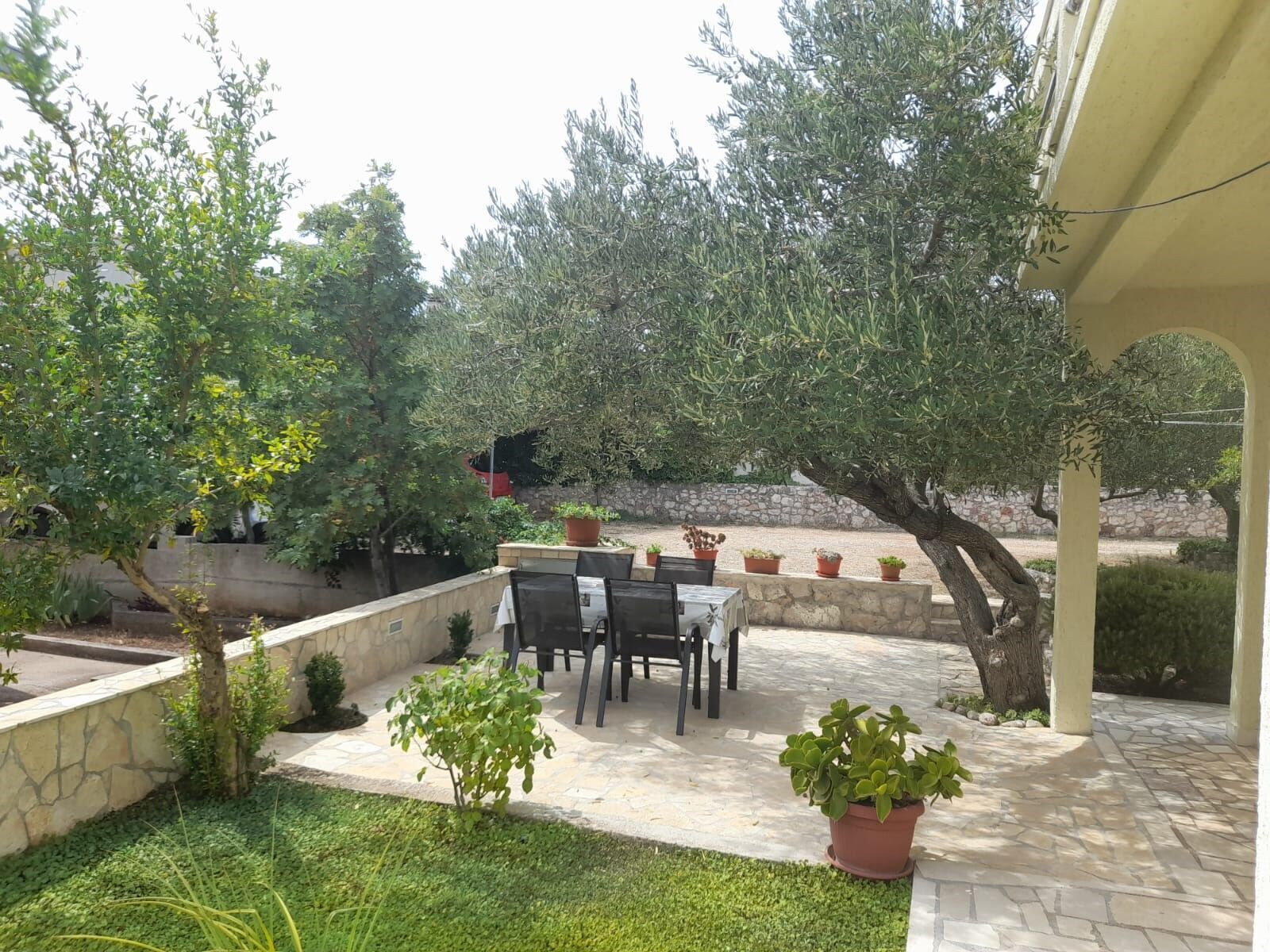 An outdoor patio area with a stone floor, a table and chairs, potted plants, and olive trees.