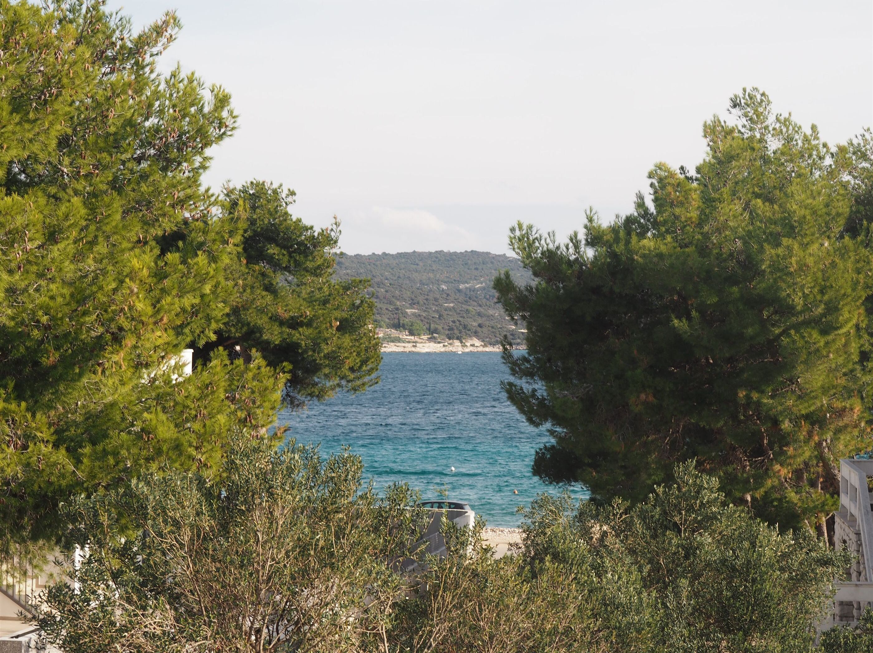 A coastal view with dense green trees framing a clear blue sea and a distant hilly landscape.
