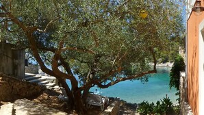 A narrow pathway leading to a body of water, with a tree on the left and a building on the right. - Apartments Zeljko (Jelsa)