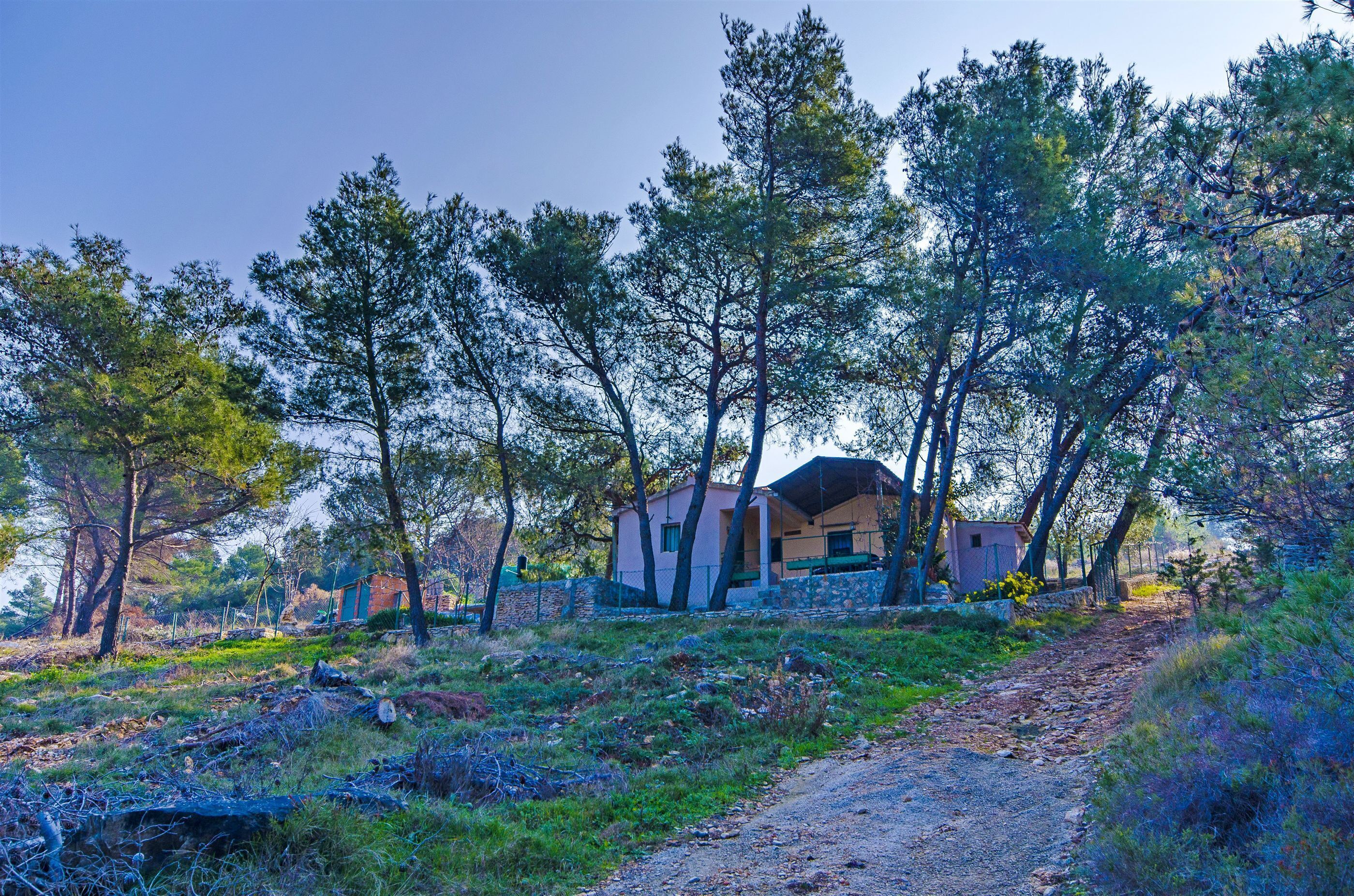 تصميم المبنى