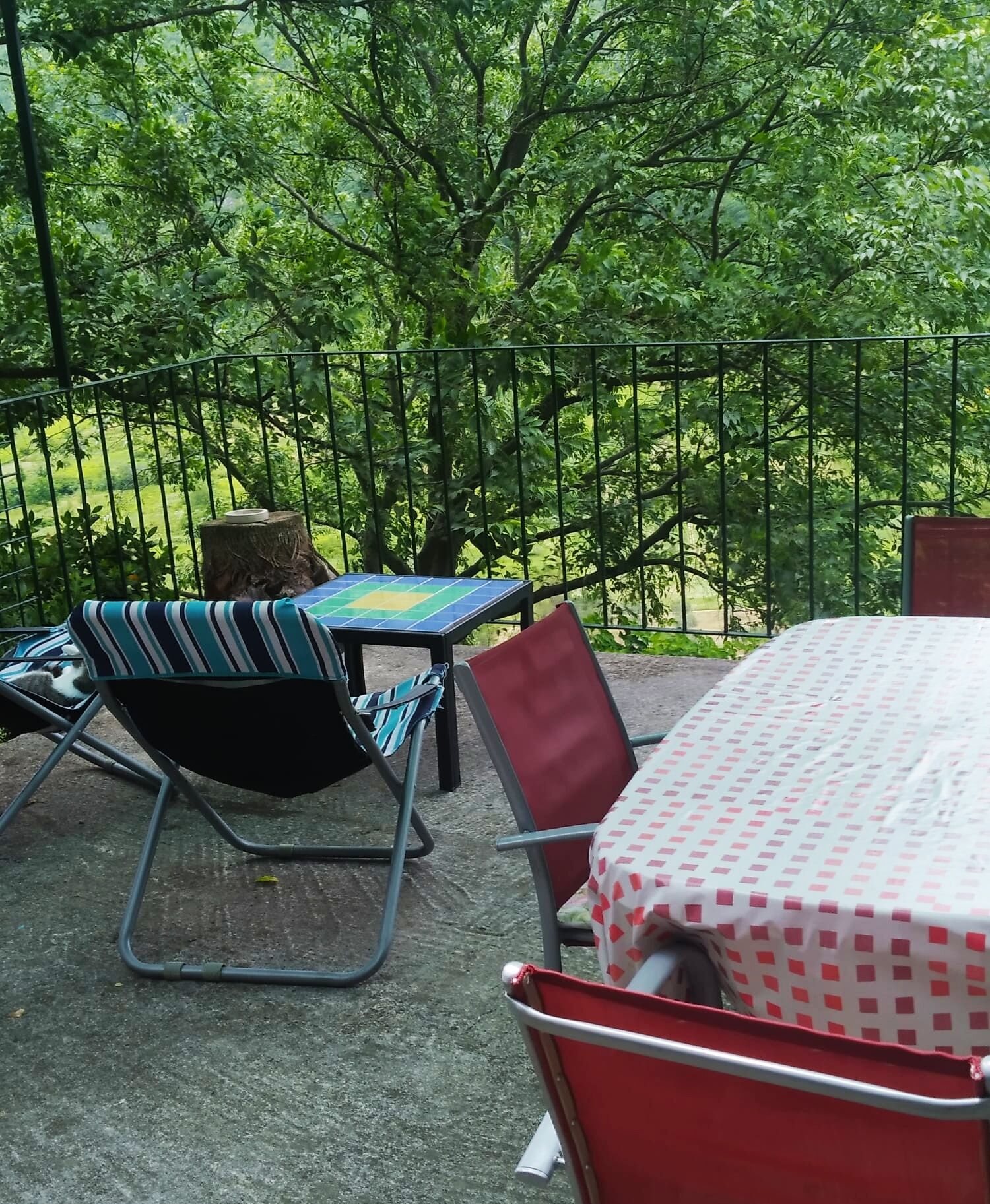 Apartment (A1) | Terrace/patio