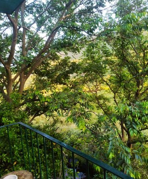 Lejlighed (A1) | Bjergudsigt