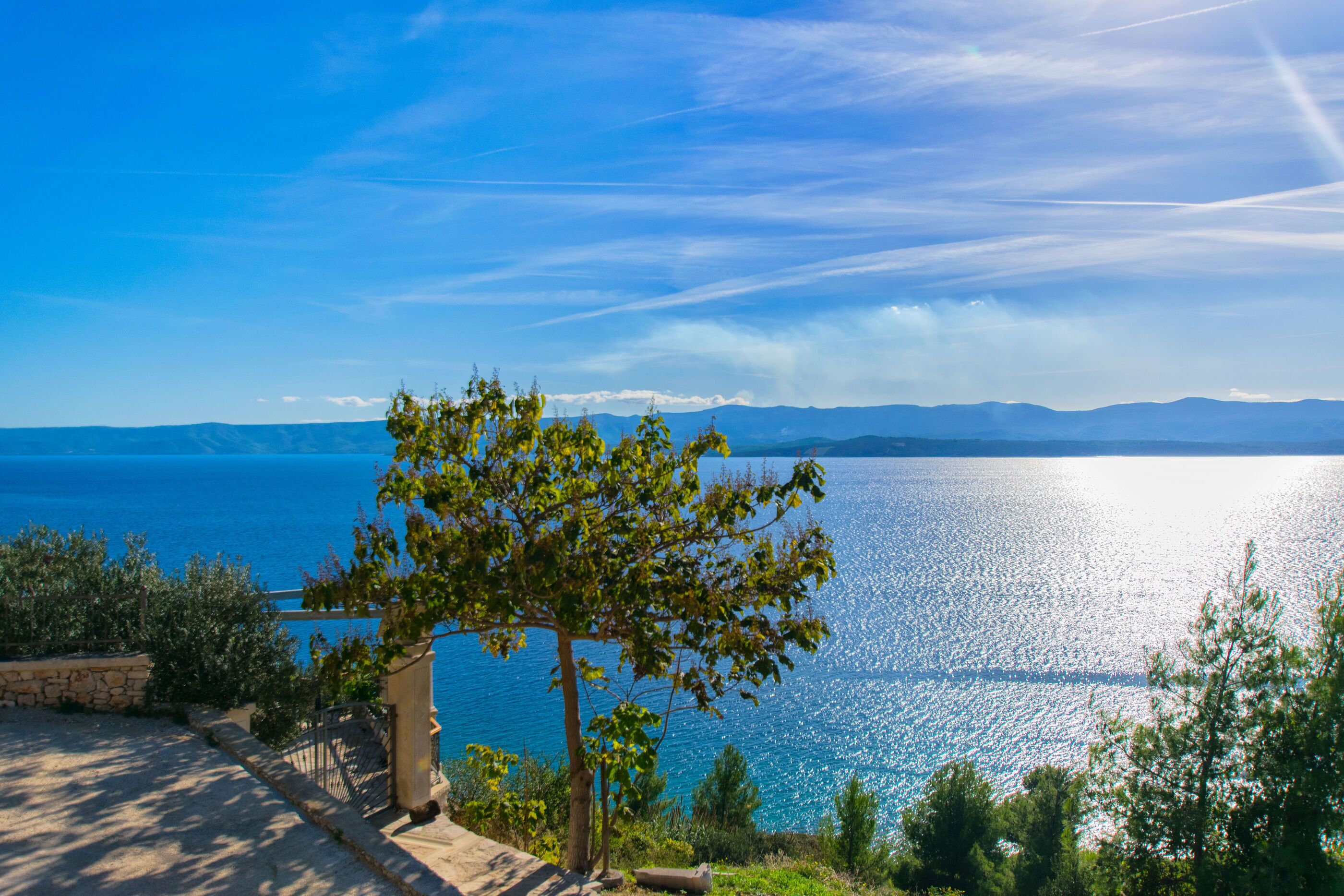 Une vue sur la côte, avec un ciel dégagé, un sentier bordé d’arbres et une mer calme.