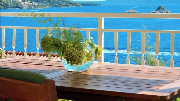 A wooden table with a glass vase containing green plants, overlooking a coastal view with a railing and distant islands. - Apartments Inge (Seget)