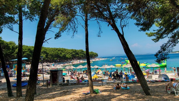 A beach with trees, umbrellas, and people.