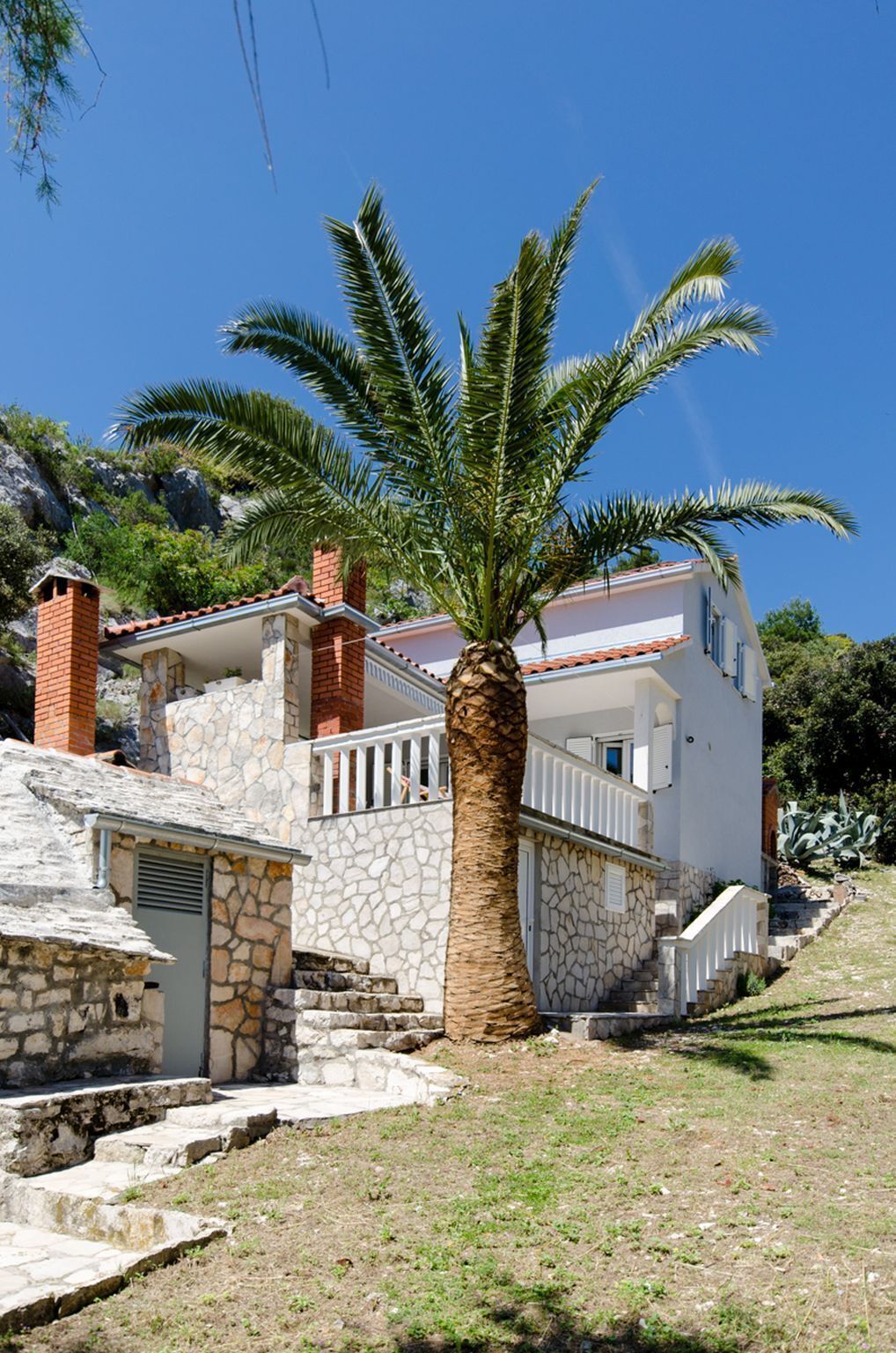 تصميم المبنى