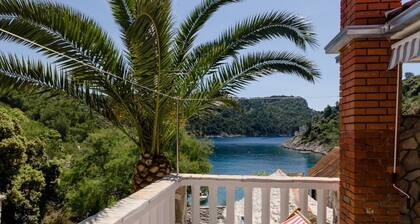 House Ancica