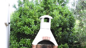 A brick-built outdoor oven with a chimney, placed on a tiled patio with potted plants around. - Apartment Petra (Rab)