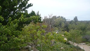 Courtyard - House Dragica (Cres)