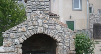 House Dragica