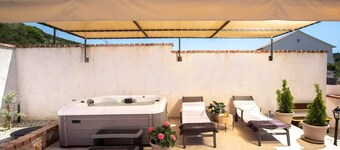 House Olive Tree