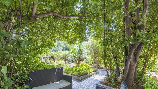 An outdoor seating area with wicker furniture and a glass table, surrounded by lush greenery and a stone pathway. - Apartment Zeljka (Crikvenica)