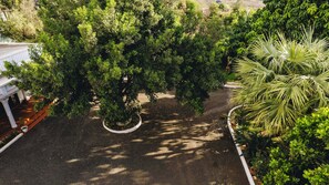 Garden view - NAIBOR VILLA (Arusha)