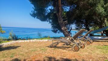 A beachside setting with a hammock and two sun loungers under a large tree, overlooking the sea.