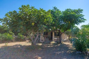 Building design - House Tomislav (Pag)