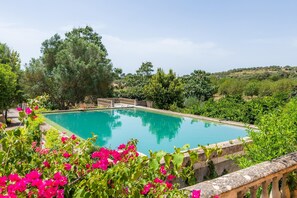A swimming pool surrounded by lush greenery and a stone balustrade.