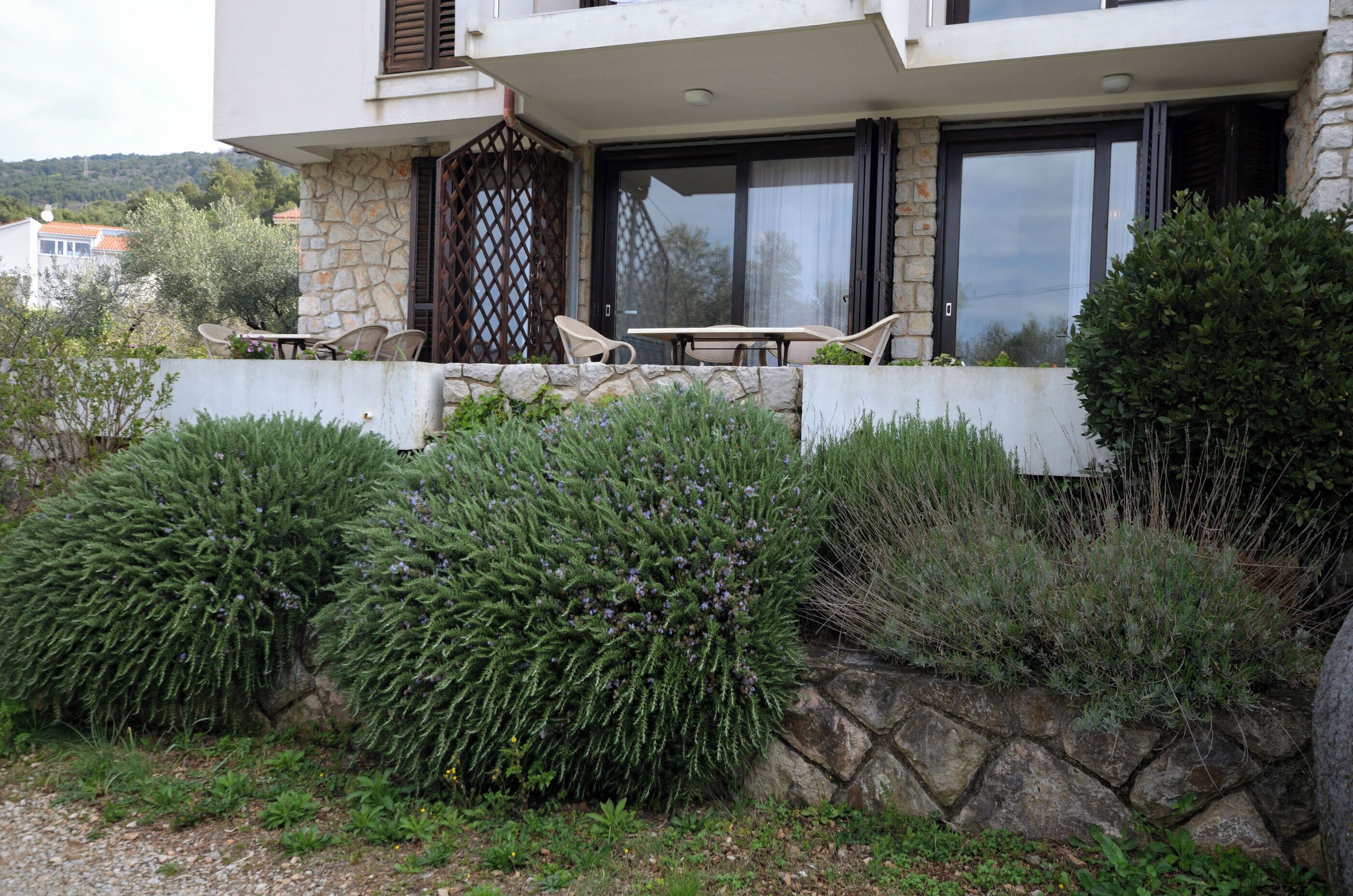 建物のデザイン