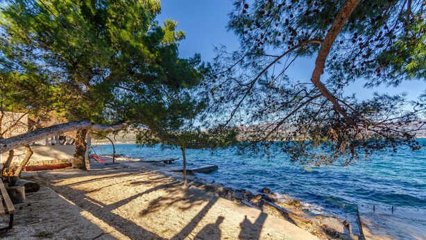 A beach with a wooden bench, a small boat, and a tree providing shade. - Apartment Nela (Trogir)