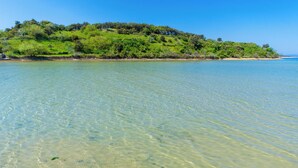 A beach with clear shallow water and a green hill with trees. - Apartments Katica (Rab)