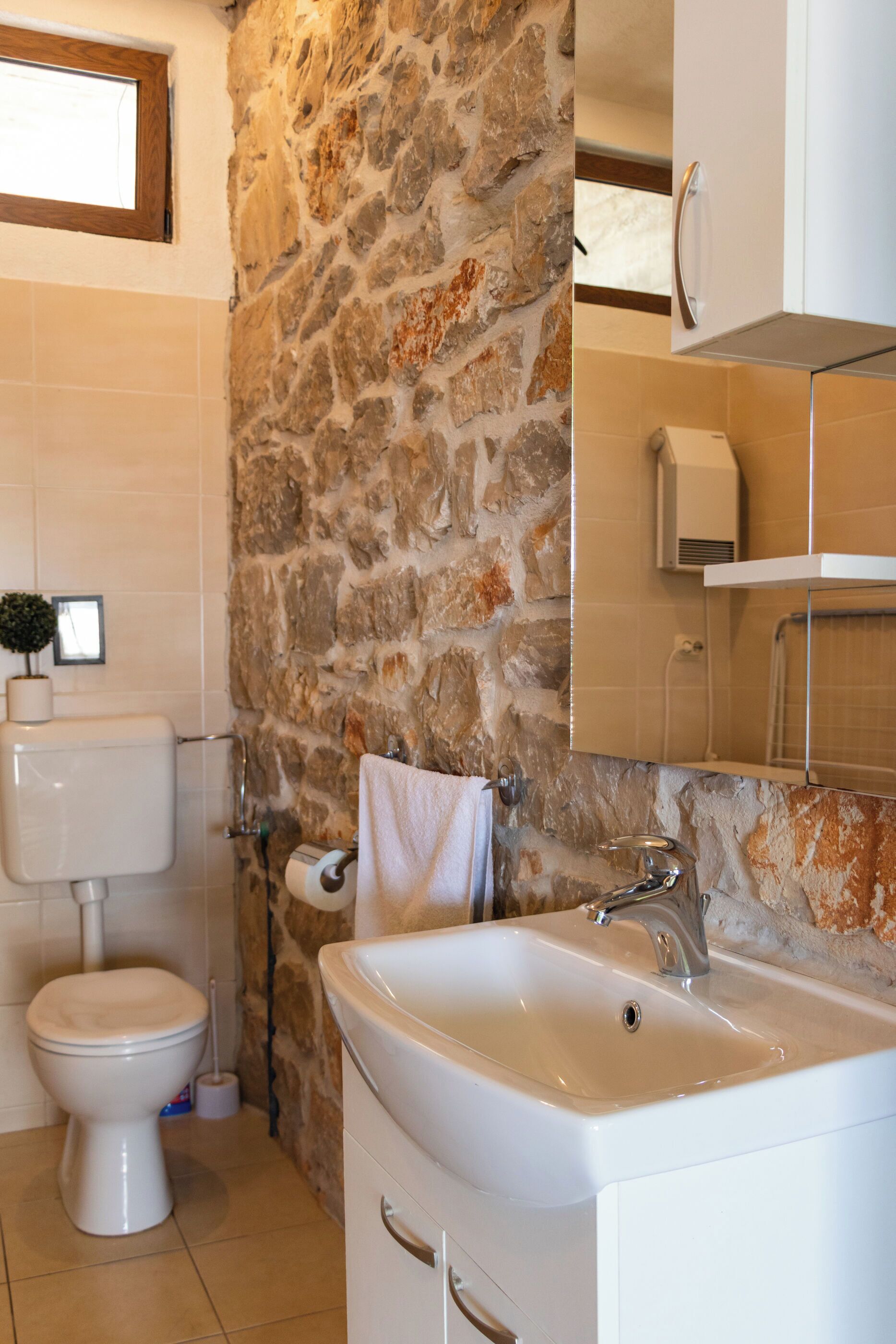 Une salle de bain avec un mur en pierre, des toilettes, un lavabo et un miroir.