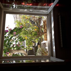 Garden - Apartment Lemona (Makarska)