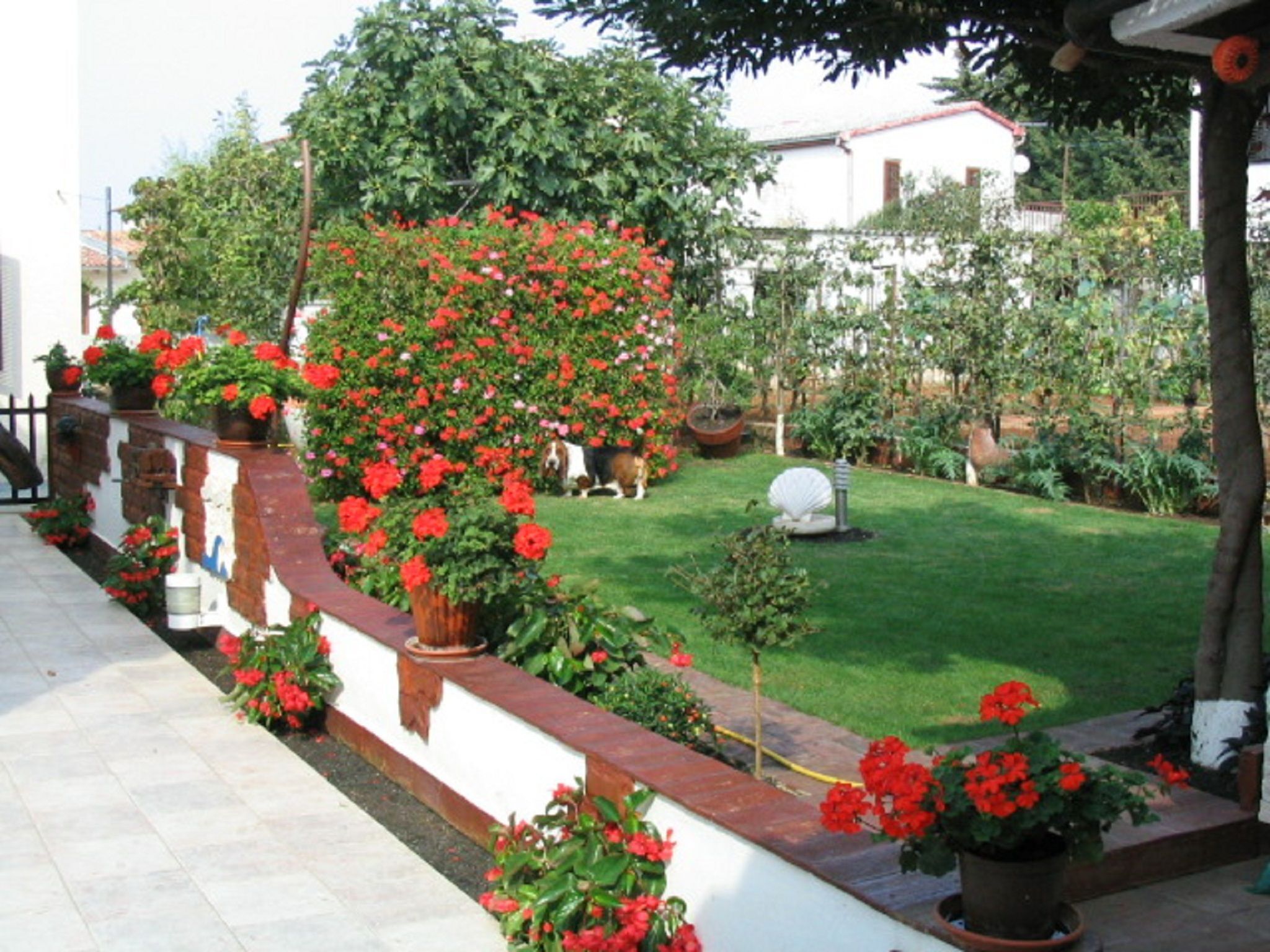 A garden with red flowers, a lawn, and a white building in the background.
