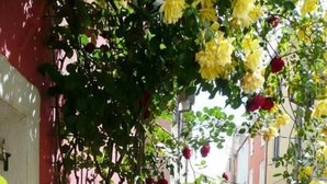 Căn hộ (A2) | Chi tiết ngoại thất