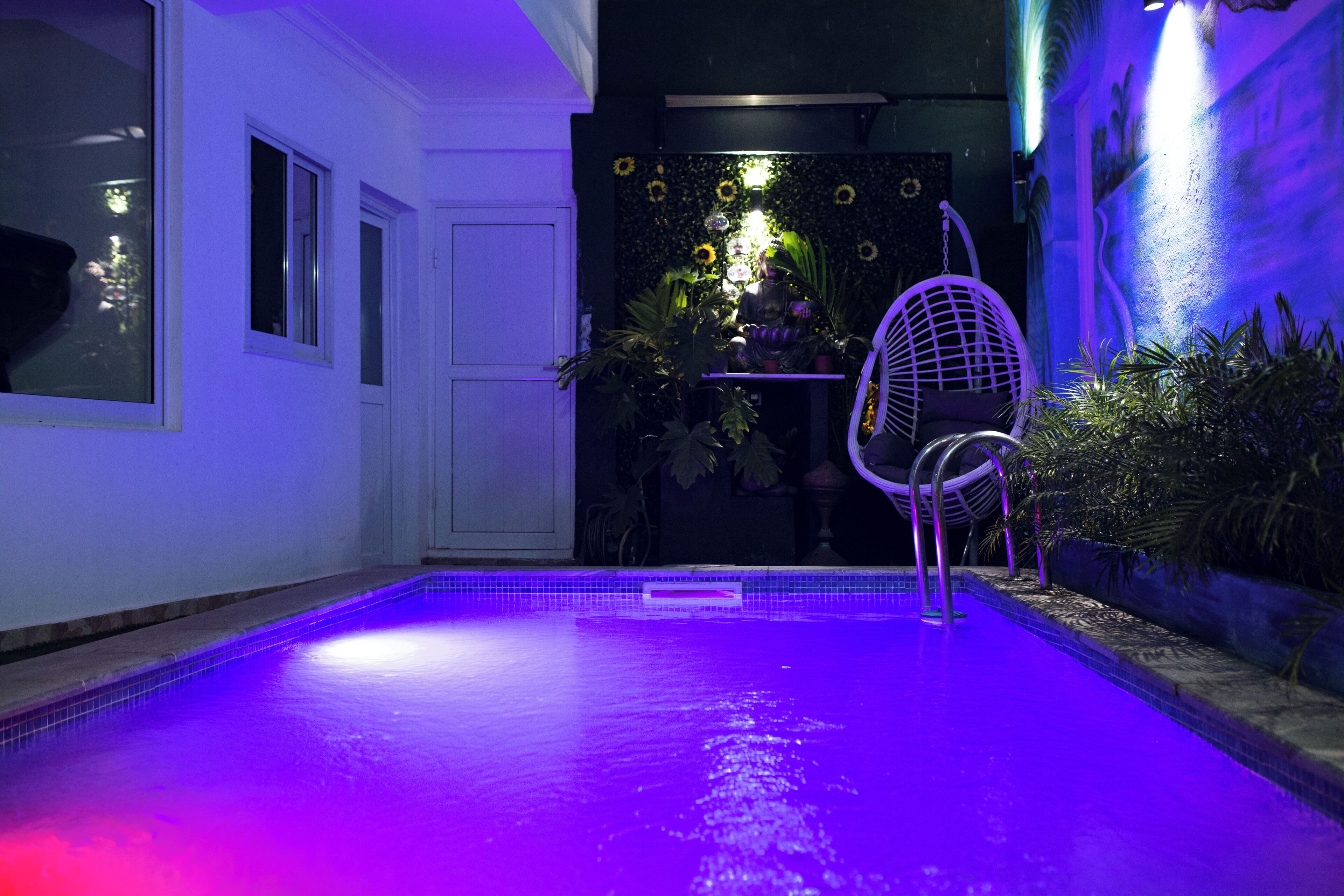 室内游泳池，日光浴躺椅