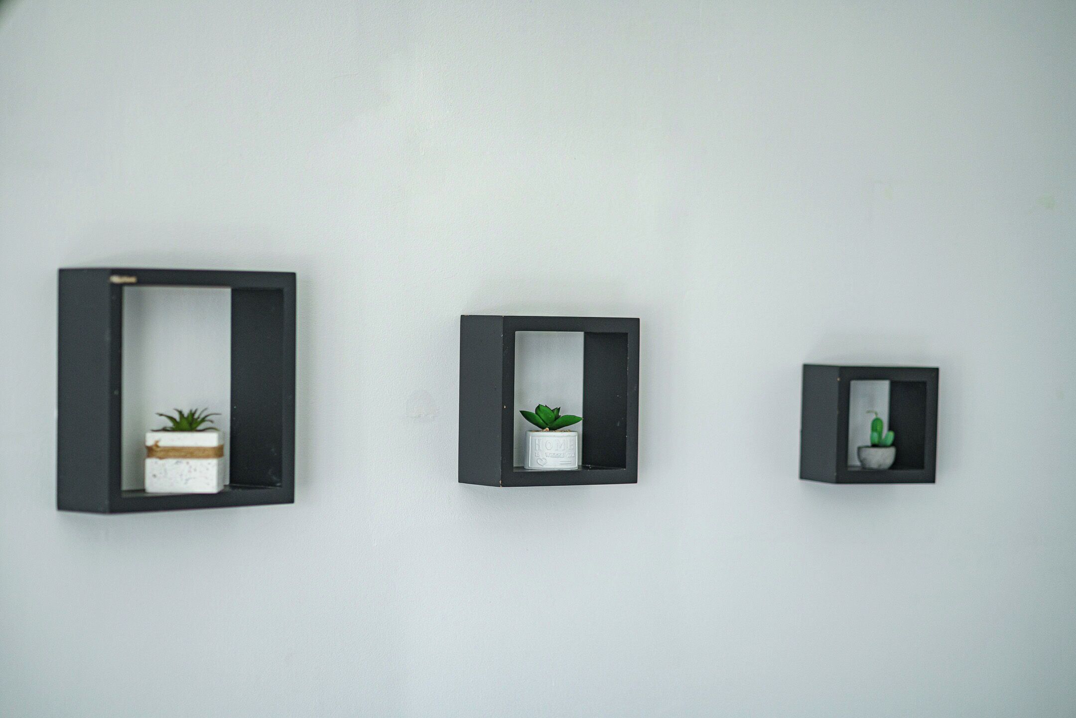 Three wall-mounted planters of varying sizes, each containing a plant.