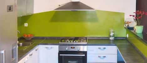 Apartment (A2) | Private kitchen | Fridge, microwave, stovetop, electric kettle