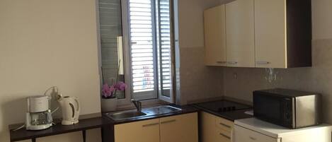 Apartment (A1) | Private kitchen