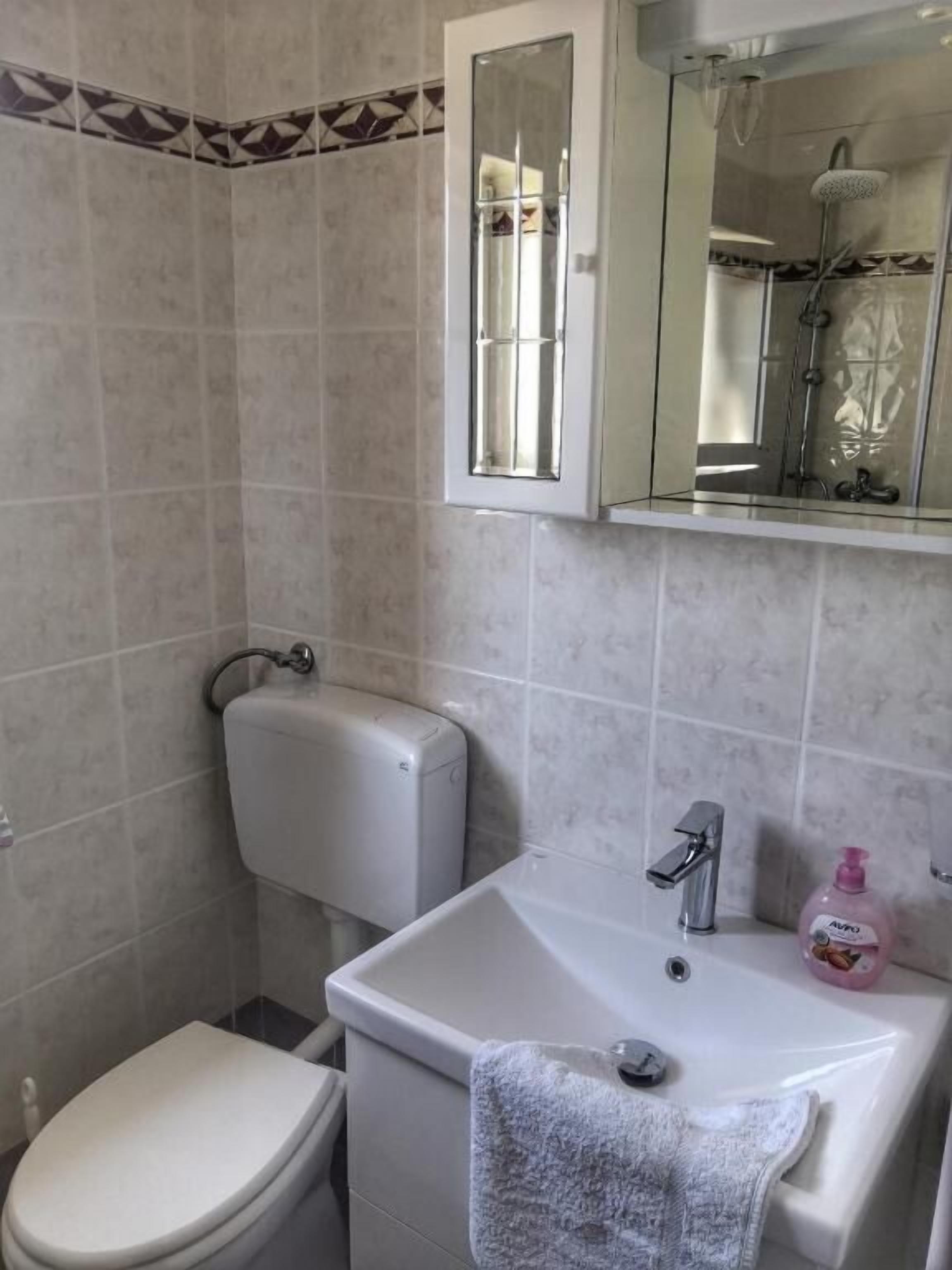 Un baño con inodoro, lavabo y ducha.