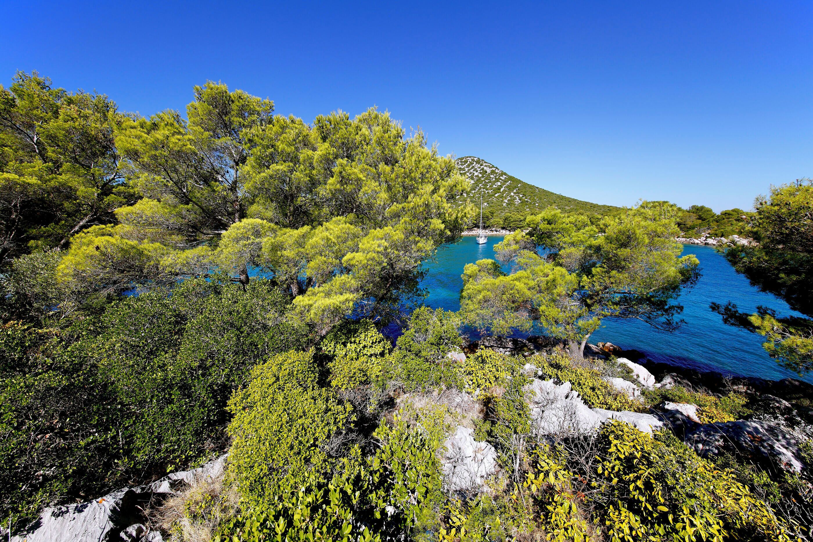 Un paysage côtier caractérisé par une végétation luxuriante et un ciel bleu dégagé.