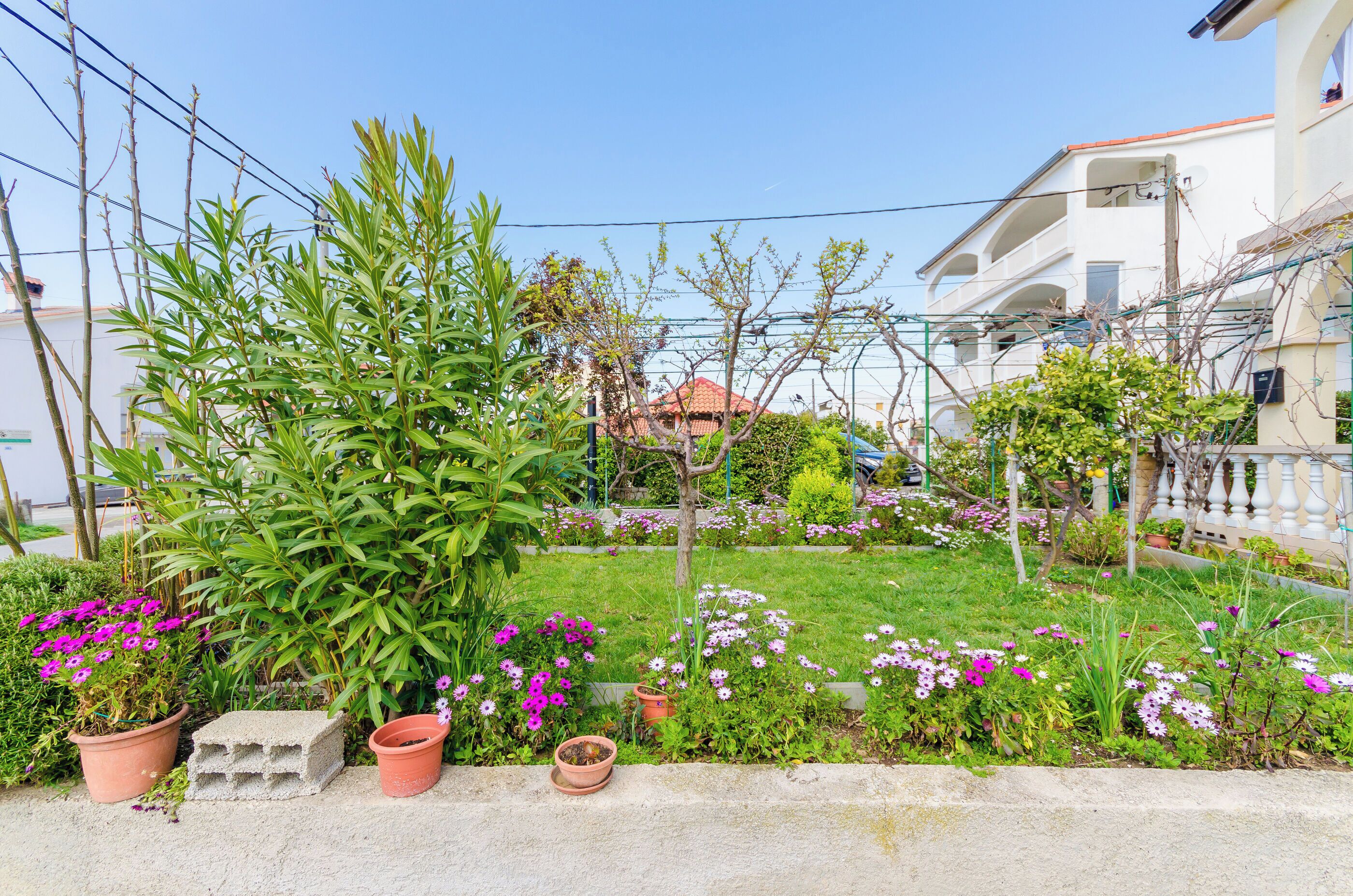 Un giardino con diverse piante e fiori, un blocco di cemento e un edificio sullo sfondo.