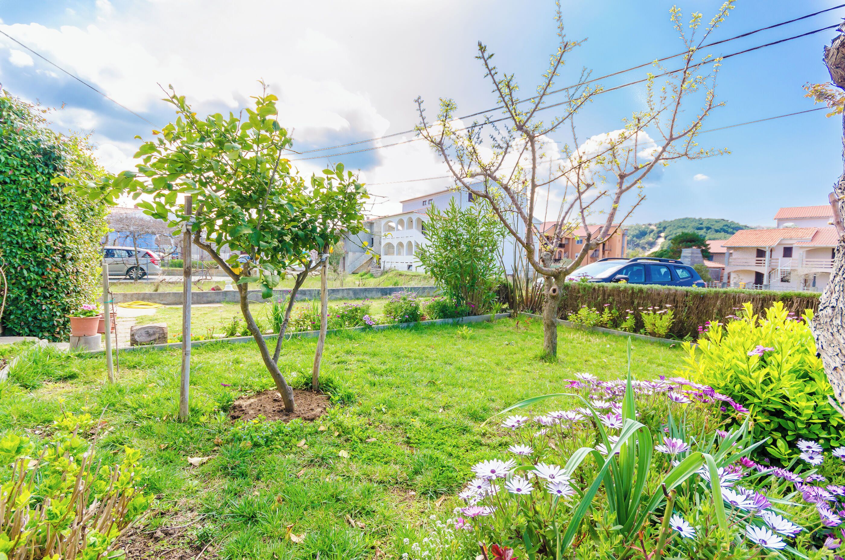 A garden with various plants and flowers, a tree, and a building in the background.
