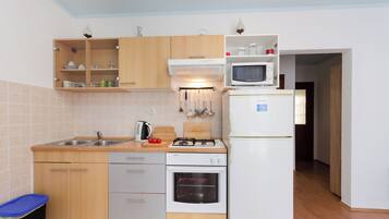 Apartment (A3) | Private kitchen | Fridge, microwave, oven, stovetop