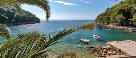 公寓 (A1) | 水景