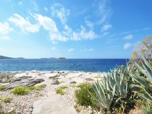 A coastal path with rocky terrain and agave plants. - Apartment Nada (Rogoznica)