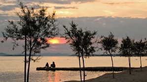 A beach with trees and a sunset over the water. - Apartments Dandelion (Biograd na Moru)