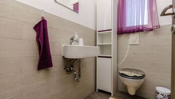 House | Bathroom | Shower