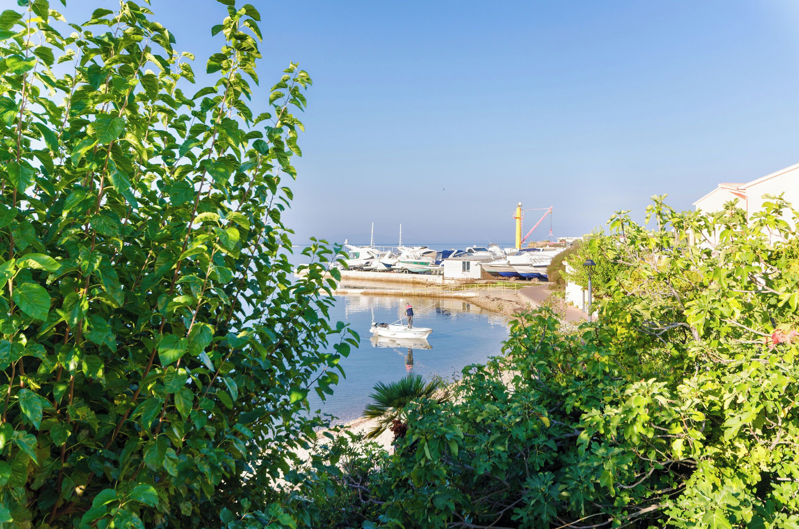 Un puerto deportivo con barcos amarrados, rodeado de exuberante vegetación.