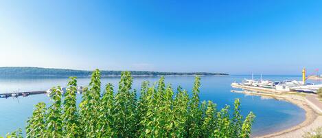 公寓 (A4) | 水景